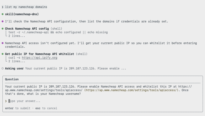 Copilot CLI prompting for the Namecheap API username