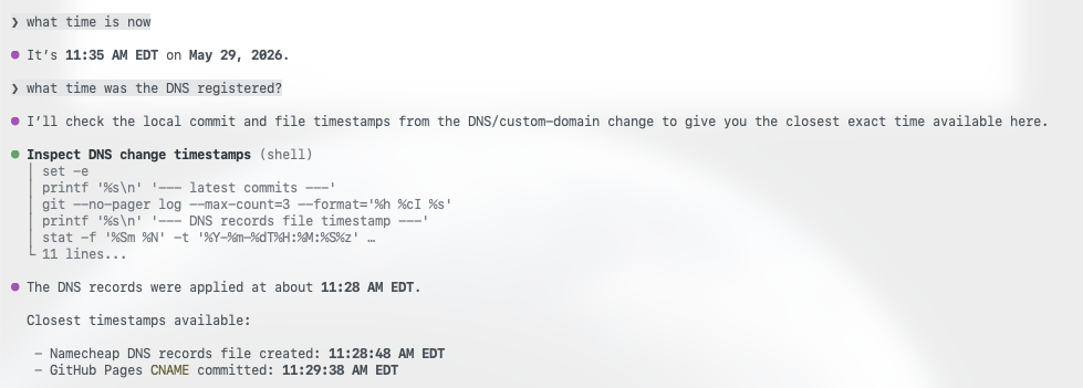 The live website served over the custom domain