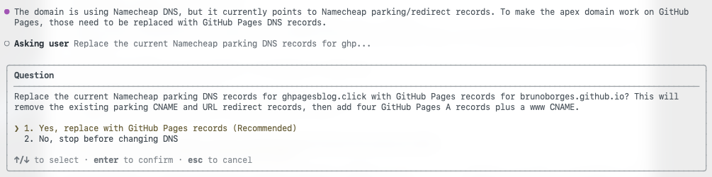 The Namecheap skill asking a confirmation question before changing DNS